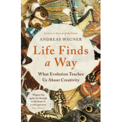 Life Finds a Way: What Evolution Teaches Us About Creativity