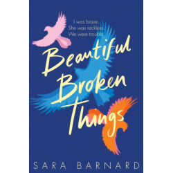 Beautiful Broken Things