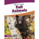 Fall Animals