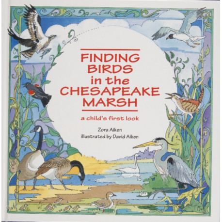 Finding Birds in the Chesapeake Marsh: A Child’s First Look