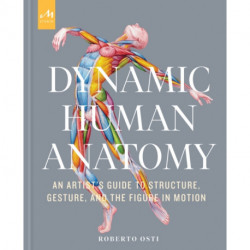 Dynamic Human Anatomy: An Artist's Guide to Structure, Gesture, and the Figure in Motion