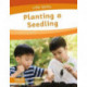 Planting a Seedling
