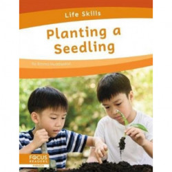 Planting a Seedling