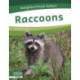 Raccoons