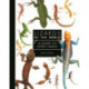 Lizards of the World: A Guide to Every Family