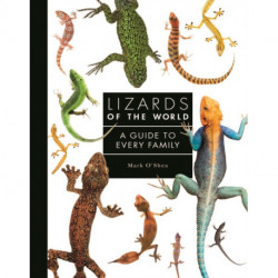 Lizards of the World: A Guide to Every Family
