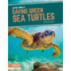 Saving Green Sea Turtles