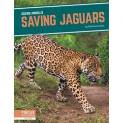 Saving Jaguars