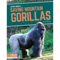 Saving Mountain Gorillas