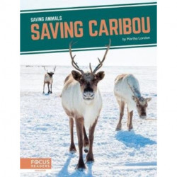 Saving Caribou