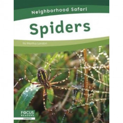 Spiders
