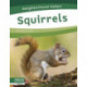Squirrels