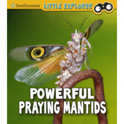 Powerful Praying Mantises