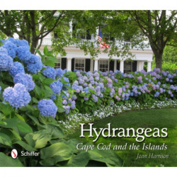 Hydrangeas: Cape Cod and the Islands