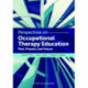 Perspectives on Occupational Therapy Education: Past, Present, and Future