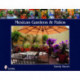 Mexican Gardens & Patios