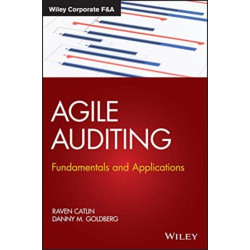 Agile Auditing: Fundamentals and Applications