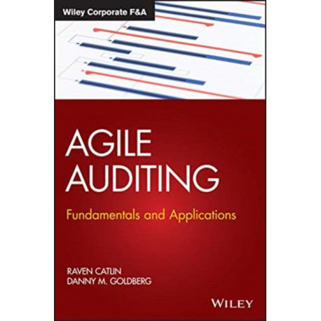 Agile Auditing: Fundamentals and Applications