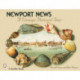 Newport News: A Vintage Postcard Tour: A Vintage Postcard Tour