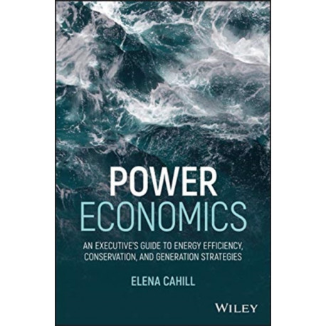 Power Economics: An Executive's Guide to Energy Efficiency, Conservation, and Generation Strategies