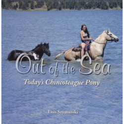 Out of the Sea, Today’s Chincoteague Pony
