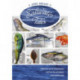 Saltwater Tales: Offshore, Bay, and Surf Fishing Adventures with Proven Tips and Techniques for the Saltwater Angler