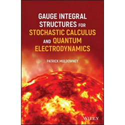 Gauge Integral Structures for Stochastic Calculus and Quantum Electrodynamics