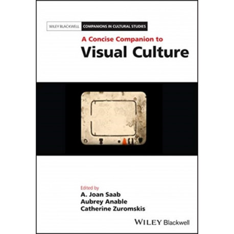 A Concise Companion to Visual Culture