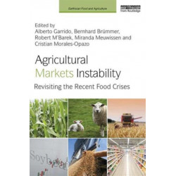 Agricultural Markets Instability: Revisiting the Recent Food Crises