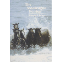 The Assateague Ponies