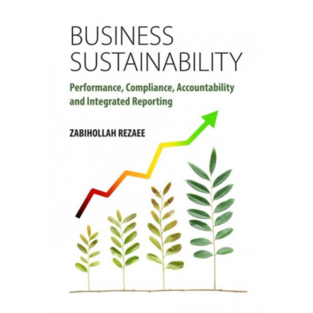 Business Sustainability: Performance, Compliance, Accountability and Integrated Reporting