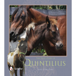 The True Story of Quintilius