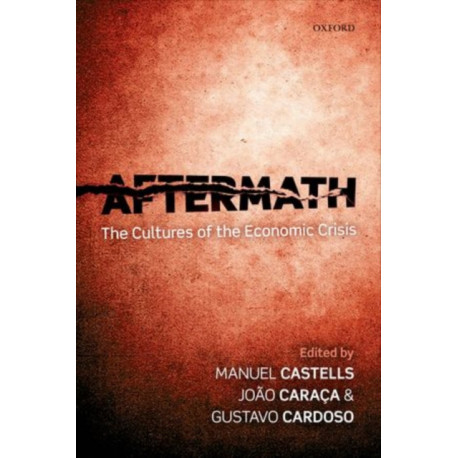 Aftermath: The Cultures of the Economic Crisis