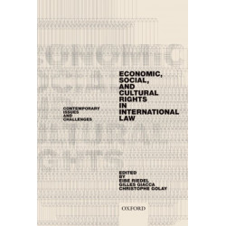 Economic, Social, and Cultural Rights in International Law: Contemporary Issues and Challenges