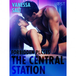 Forbidden Places: The Central Station - Erotic Short Story