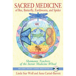 Sacred Medicine of Bee, Butterfly, Earthworm, and Spider: Shamanic Teachers of the Instar Medicine Wheel