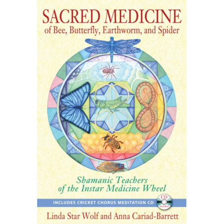 Sacred Medicine of Bee, Butterfly, Earthworm, and Spider: Shamanic Teachers of the Instar Medicine Wheel