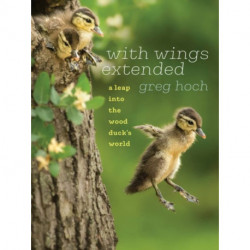With Wings Extended: A Leap into the Wood Duck's World