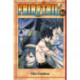 Fairy Tail 46