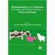 Phosphorus and Calcium Utilization and Requirements in Farm Animals