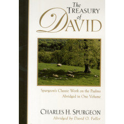 The Treasury of David