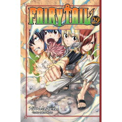 Fairy Tail 29