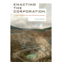 Enacting the Corporation: An American Mining Firm in Post-Authoritarian Indonesia