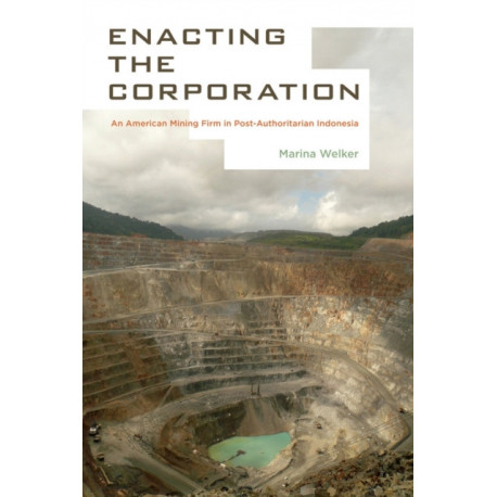Enacting the Corporation: An American Mining Firm in Post-Authoritarian Indonesia