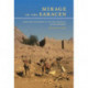 Mirage of the Saracen: Christians and Nomads in the Sinai Peninsula in Late Antiquity