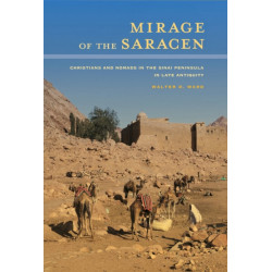 Mirage of the Saracen: Christians and Nomads in the Sinai Peninsula in Late Antiquity
