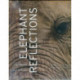 Elephant Reflections
