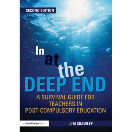In at the Deep End: A Survival Guide for Teachers in Post-Compulsory Education