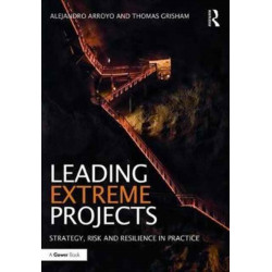 Leading Extreme Projects: Strategy, Risk and Resilience in Practice