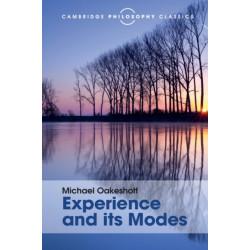 Experience and its Modes